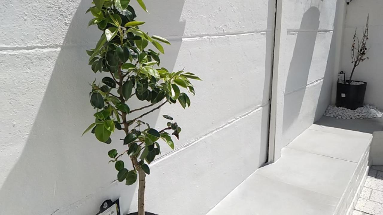 Le 32 Villa Lens Bagian luar foto
